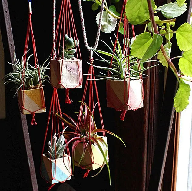 Эти кубы отлично подходят для небольших растений, таких как кактусы, например, для растений, которые нуждаются в некотором пространстве под ними, поскольку они прекрасно висят. Дизайн принадлежит Эрин Смит, и каждый плантатор можно купить за 24 доллара.