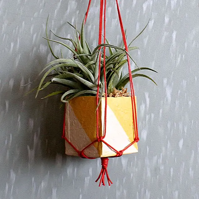 Мини-подвесные плантаторы