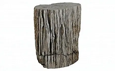 Эта окаменевшая древесина действительно старая (около 20 миллионов лет), и теперь вы можете купить ее из Интернета и использовать ее в качестве садового стула или, может быть, красивого столика на открытом воздухе. Он выглядит великолепно, и он очень устойчив. Он не очень большой, но достаточно большой, чтобы держать несколько стаканов, чашку кофе и книгу или журнал (13 "диаметр x 16" H). Его поверхность очень гладкая, так как она, естественно, полируется, и вы не рискуете причинить себе вред себе. Вы можете купить одну такую штуку за $ 1,495 от Jayson Home.