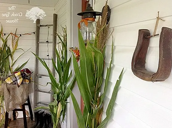 Свеча также была бы приятной. Вы можете просто повесить его на стену, не слишком осторожно глядя на узор и форму. Конечно, мы не можем забыть о тыквах. Поэтому найдите несколько разных размеров, форм и цветов и распределите их по комнате. Вы также можете сделать венок с использованием веток, ветвей и листьев. Посмотрите, можете ли вы также найти некоторые ленты в таких цветах, как оранжевый, красный или желтый, и использовать их везде, где вы считаете нужным. {Найден на creeklinehouse}.