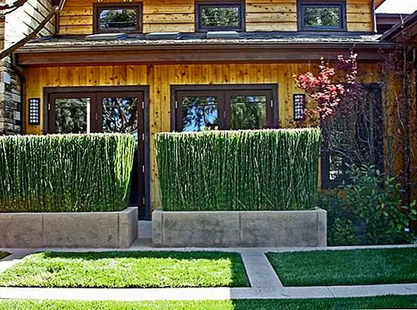 Один из последних видов ограждения для личной жизни - это живой забор, созданный с использованием плантаторов и плотных растений. Вертикальный характер бамбука делает его отличным выбором для использования, или виноградные лозы, разрешенные для выращивания на решетке, также могут создавать конфиденциальность. С небольшой охотой можно найти ряд нетрадиционных ограждений, которые идут против зерна.