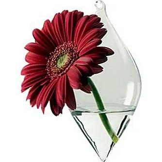 Ваза висит от верхней части, которая имеет небольшой крючок, особенно для крепления к стене с гвоздем или, возможно, на веревке в саду. Ваза идеально подходит как для внутреннего, так и для наружного использования. Вазы выглядят как прозрачные стеклянные стаканы и имеют маленькие круглые отверстия на боку, которые позволяют размещать цветы со стеблем внутри. Стекло выдувается вручную и выглядит очень изящно. Вы можете устроить кучу цветов внутри этой вазы, но одни стебли действительно ценятся и восхищаются. Они сделаны в Китае, и потому, что они такие тонкие, элегантные и очень деликатные, рекомендуется вымыть их вручную. Каждый товар доступен за $ 4,95.