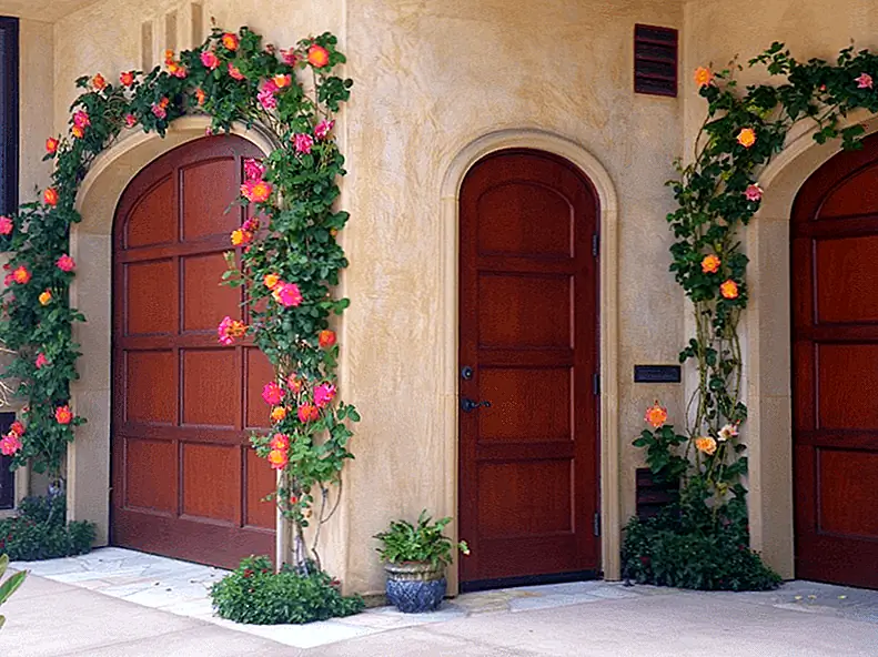 Розы - это классический выбор для любого сада - даже если у вас аллергия. Изображение: Экологический дизайн Пейзаж