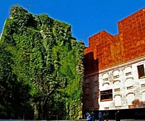 Удивительные вертикальные сады во всем мире