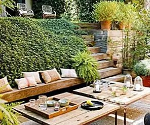 4 Основы Наружного Развлекательного