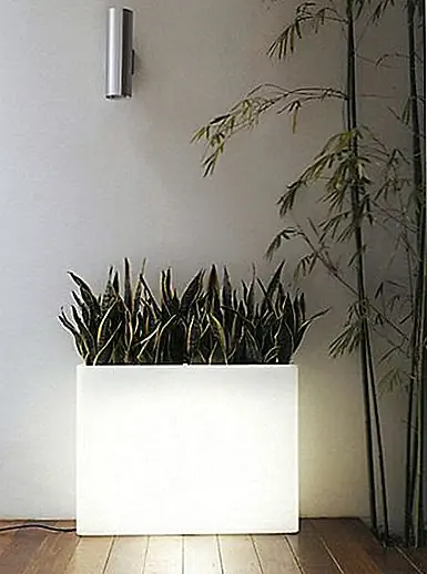 «Vaso rettangolare» является итальянским для «подсвеченного цветочного горшка», и это точно, что это такое. Конечно, вам нужно подключить его к штепсельной вилке, если вы хотите, чтобы он загорелся, но полученный визуальный эффект будет стоить всего. Платформа изготовлена из высококачественного полиэтилена, который на 100% подлежит вторичной переработке, а также имеет дренажную систему, которая позволяет поддерживать чистоту сеялки, предотвращая попадание грязи. Специально разработанный сочетается с функциональностью, поэтому все довольны. Лучшая лампочка для использования - это компактный флуоресцентный светильник 23 Вт, и этот предмет идеально подходит для балконов. Цена продукта составляет $ 525.