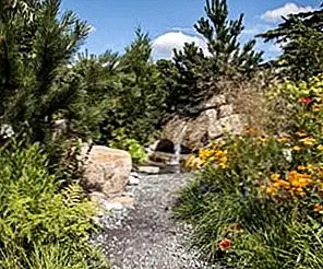 Садовые скалы и их роль и влияние на ландшафт