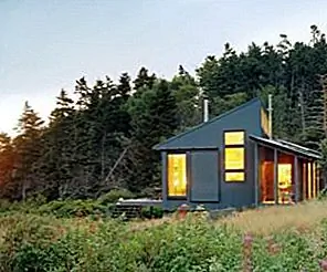 Уединенный зеленый выход с побережья штата Мэн