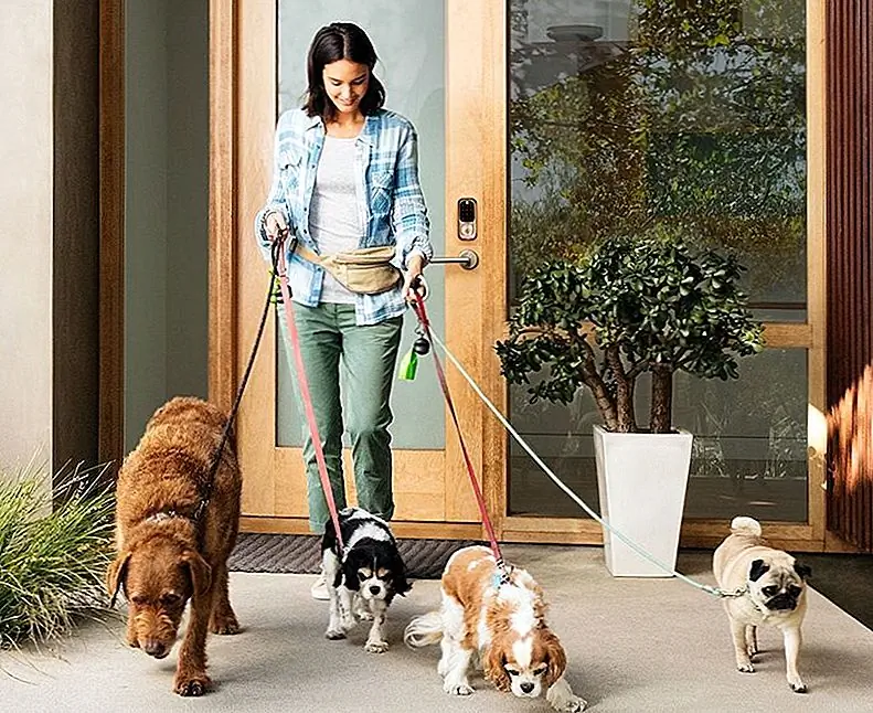 Интеллектуальная система входа в дом дает вам возможность контролировать, кто может войти в ваш дом - и когда. Изображение: Amazon