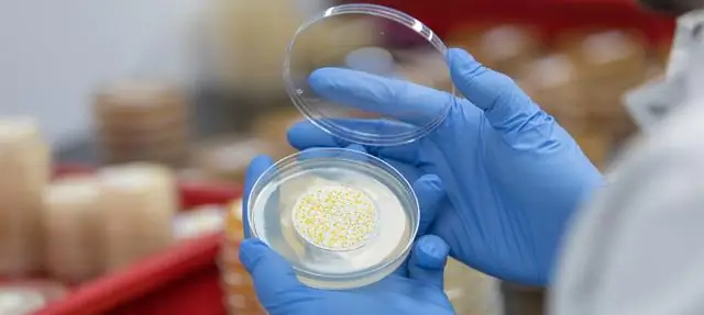 Ассортимент продукции дополнен новым 2-компонентным конструкционным клеем