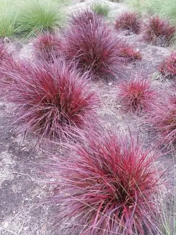 Сайт для водного хозяйства