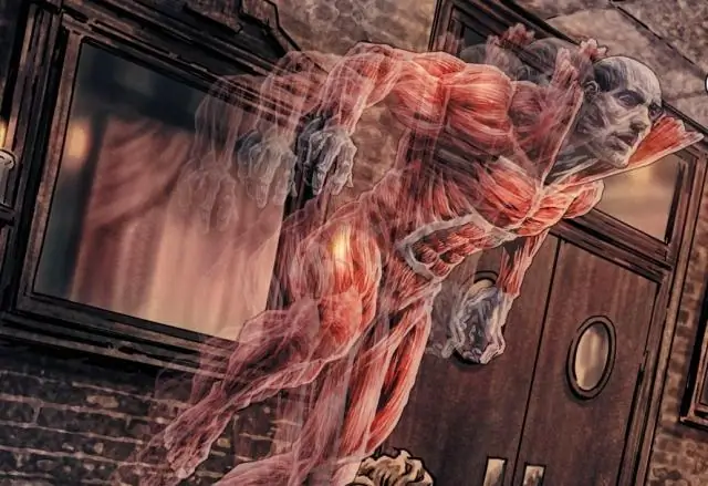 В духе сотрудничества человека с роботом