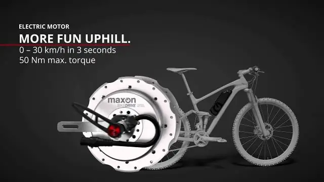 Maxon Motor бросает вызов валютному кризису