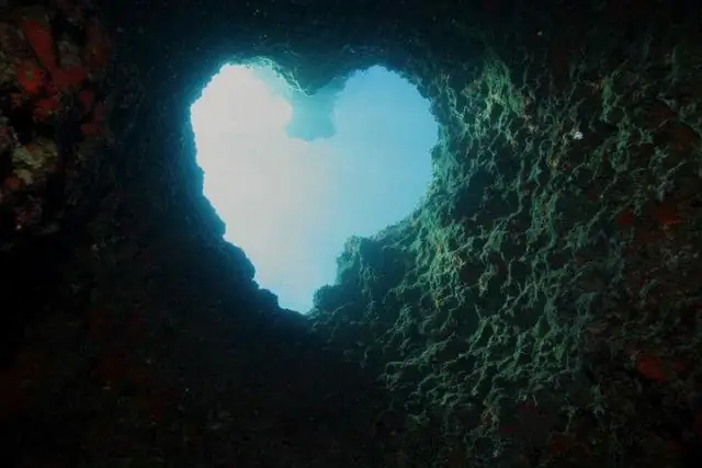 Свет для глубин моря