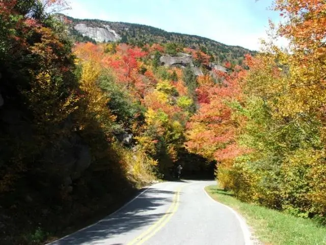 «Голова построена, а не компьютер»