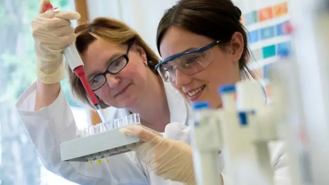 Немецкая профессиональная подготовка в США переживает бум