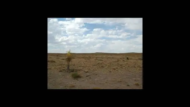 Новые пути в планировании проекта CAE