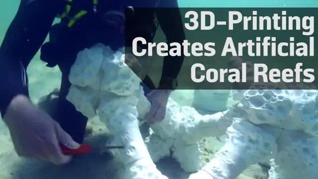 Организация хочет сохранить кораллы с помощью 3D печатных структур поддержки