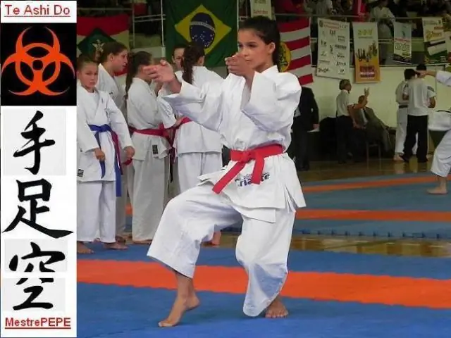 Портал правил DVS с новыми функциями