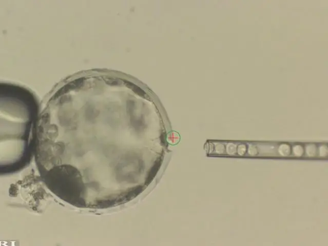 Говорят, что источник зеленого лазерного луча делает сварочную медь более эффективной
