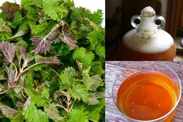 Как пивоваренные остатки можно использовать устойчиво