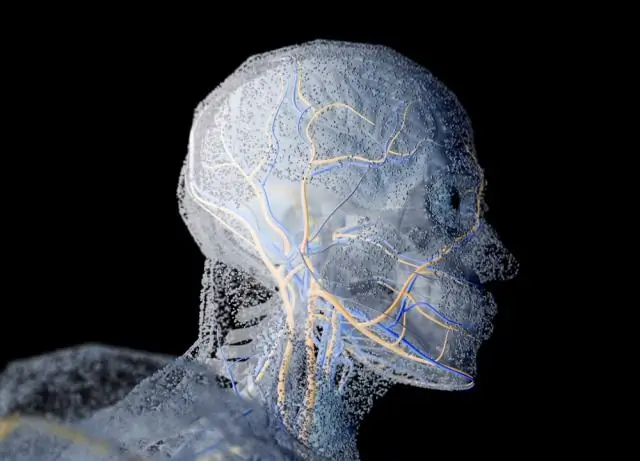 3D печатные модели облегчают хирургические процедуры