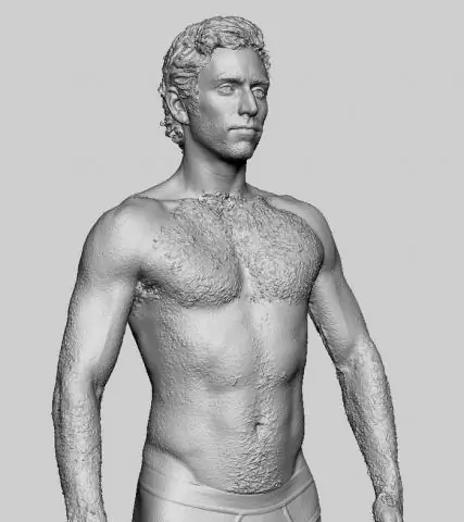 3D-сканы Арнольда Шварценеггера