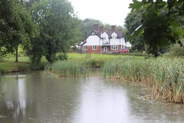 Пруд: удалить тростник