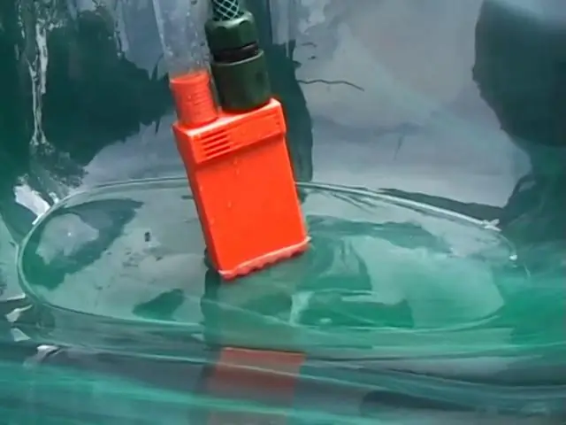 Присосочный пруд