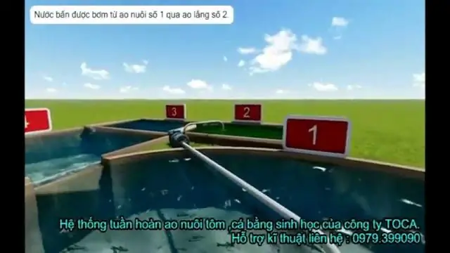 Технология прудов