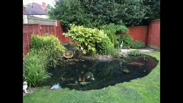 Очистить садовый пруд