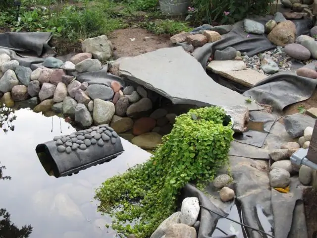 Клей вкладыша для пруда