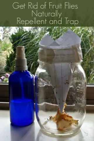 Фруктовые мушки: домашние средства