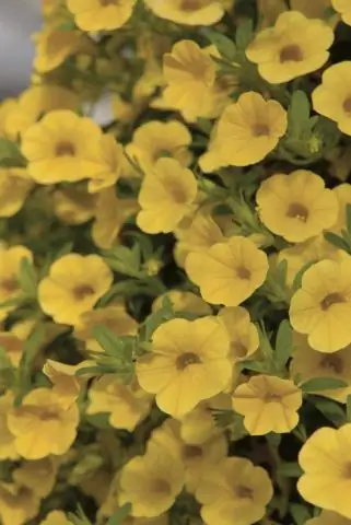 Доказано хорошо