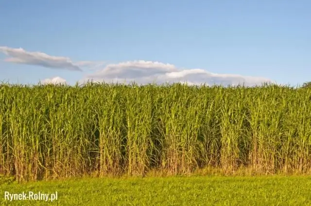 Преимущества и недостатки гибридного отопления