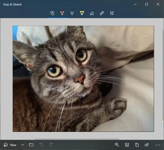 Функция хранения льда просто объяснила