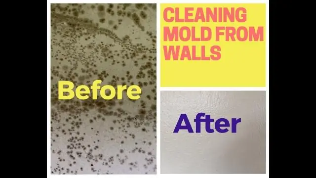 Mucoblast Clean: биосовместимое удаление плесени
