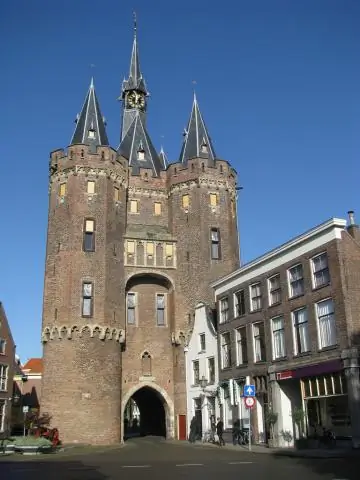 Помощь компании по обрезке деревьев