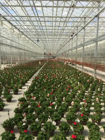 Подметание дровяного котла
