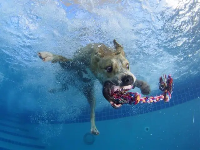Аксессуары, позволяющие экономить воду